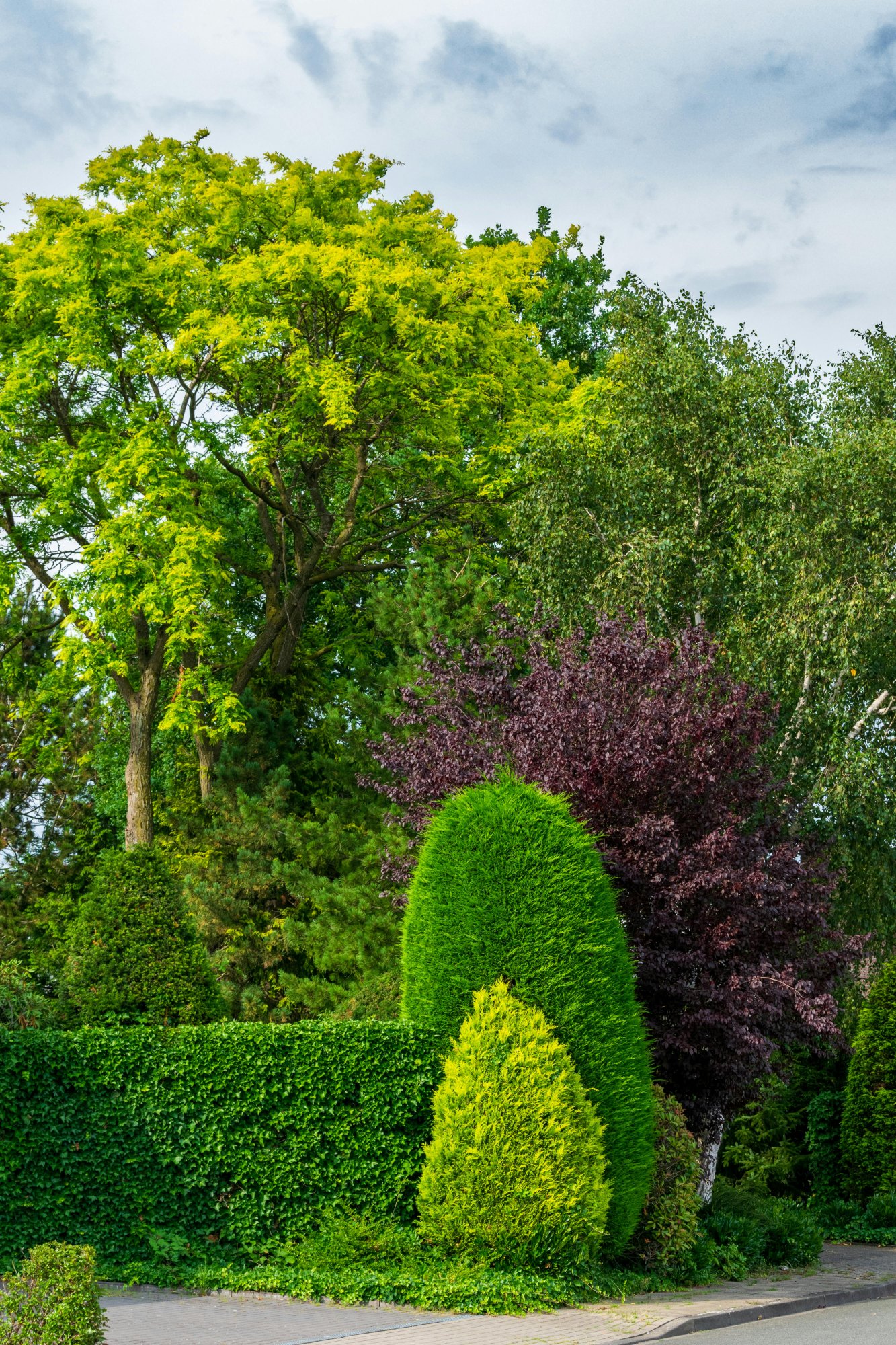 Grünpflege in Neustadt an der Weinstraße